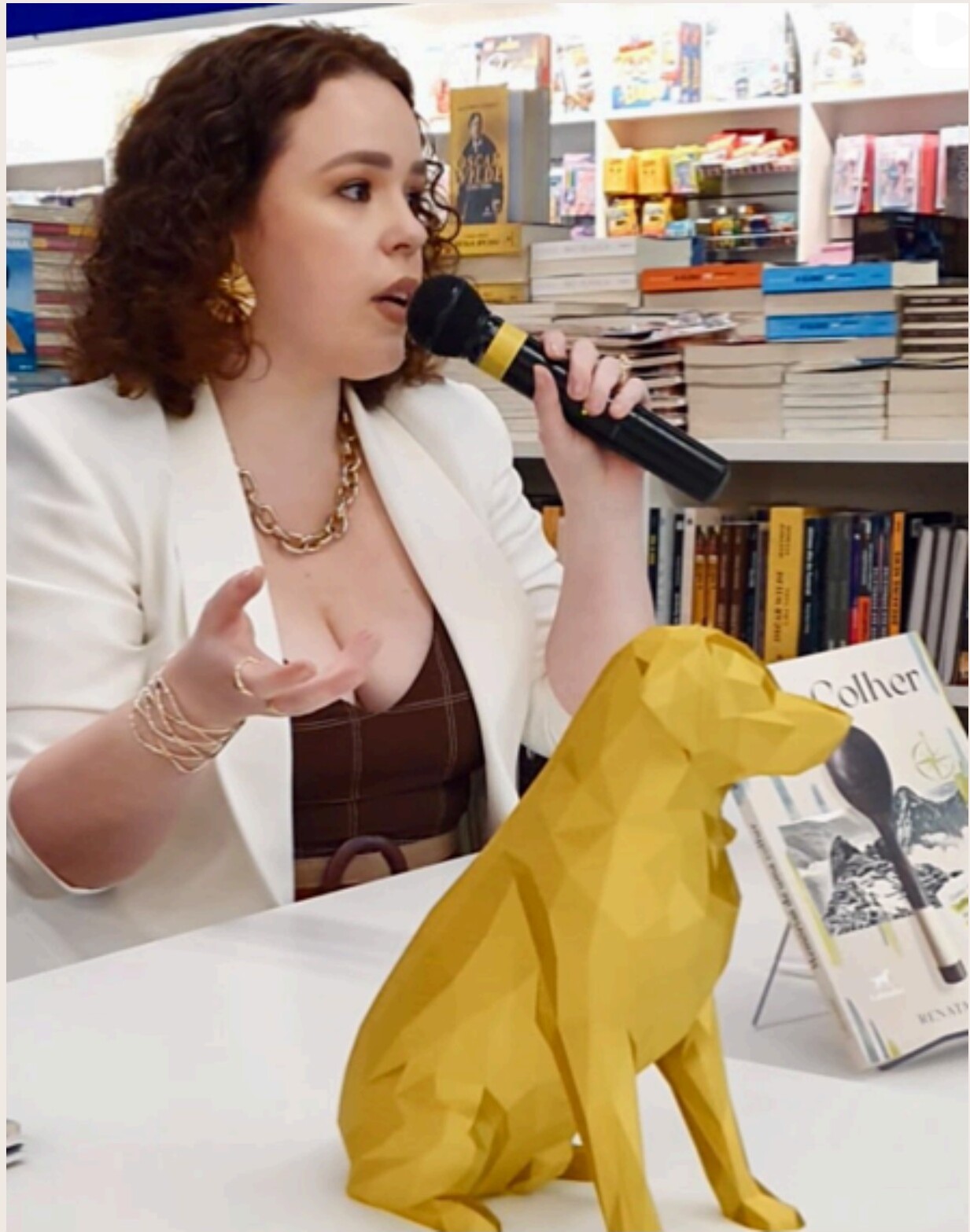 Renata Tomaz palestrando